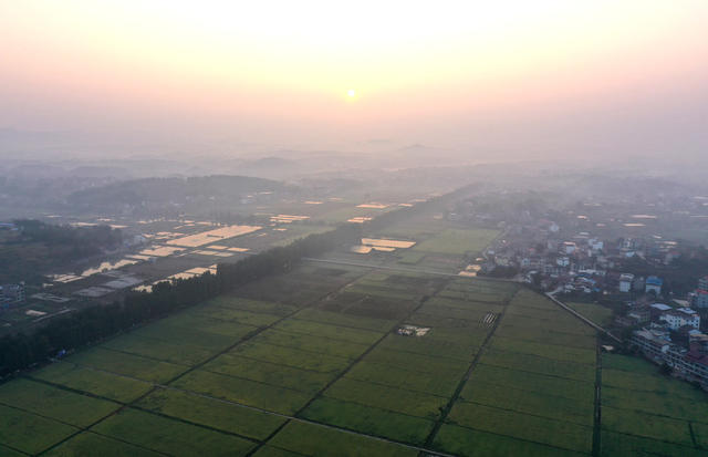 金秋  田园  风光  水稻  丰收  风景   画卷