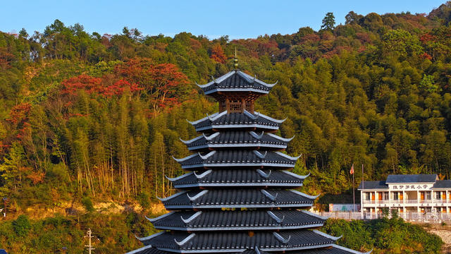 秋天、景色、红叶、林业、