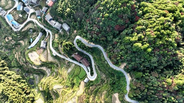 交通、乡村公路、致富路、运输、产业路