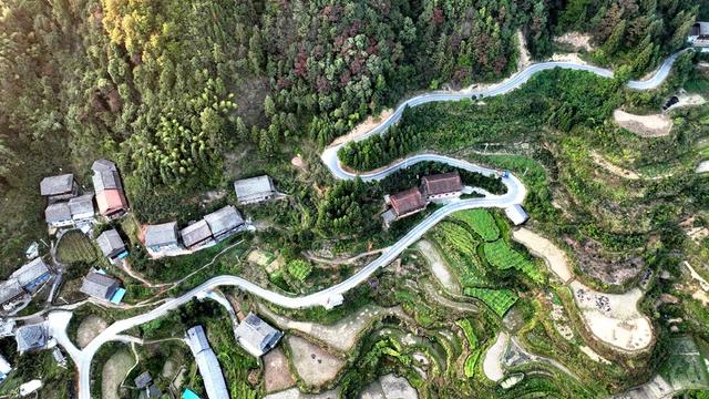 交通、乡村公路、致富路、运输、产业路
