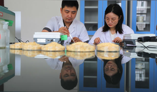 粮食  收储