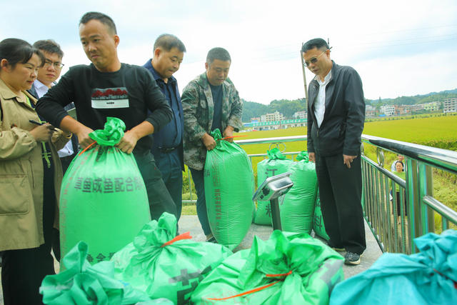 超级稻 测产 验收 丰收 农业
