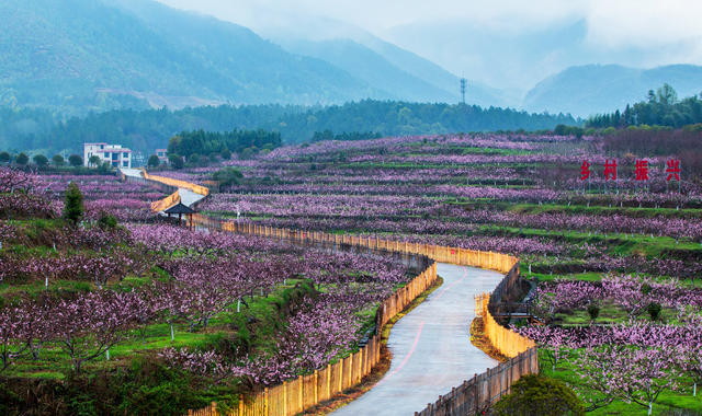 移民新村 美丽乡村 黄桃基地 乡村振兴 白鹭成群 大棚基地 高铁 飞驰