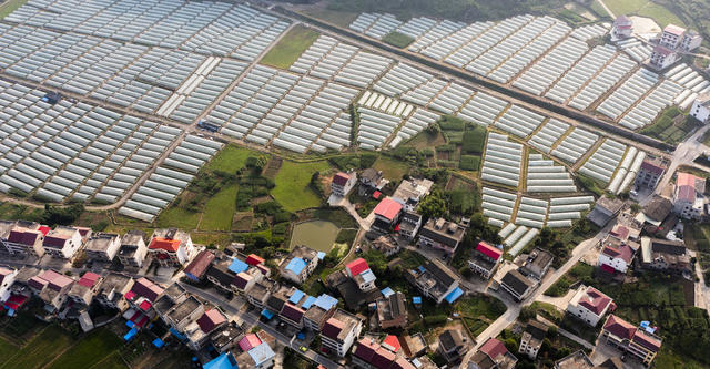 移民新村 美丽乡村 黄桃基地 乡村振兴 白鹭成群 大棚基地 高铁 飞驰