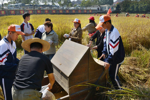 研学实践在田间