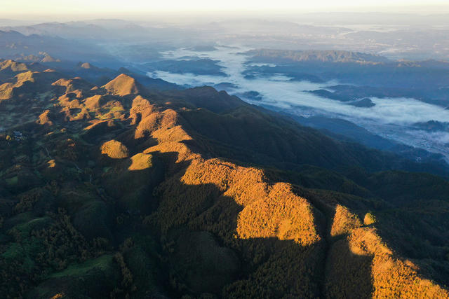 湘西，龙山，色彩，秋色，林场，落叶松，景色