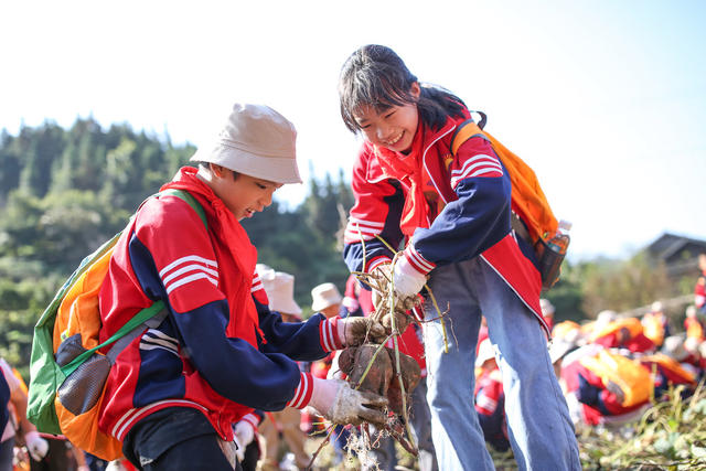 研学 劳动教育 非遗 通道县