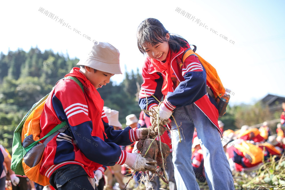 研学 劳动教育 非遗 通道县