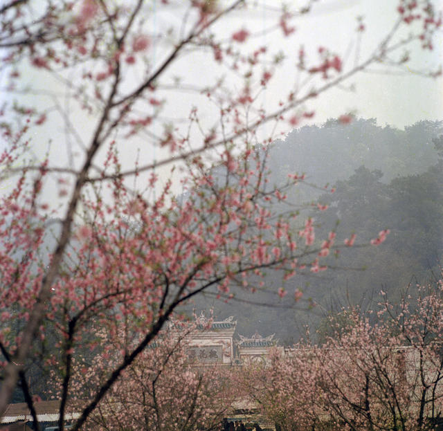  Scenery of Wuling