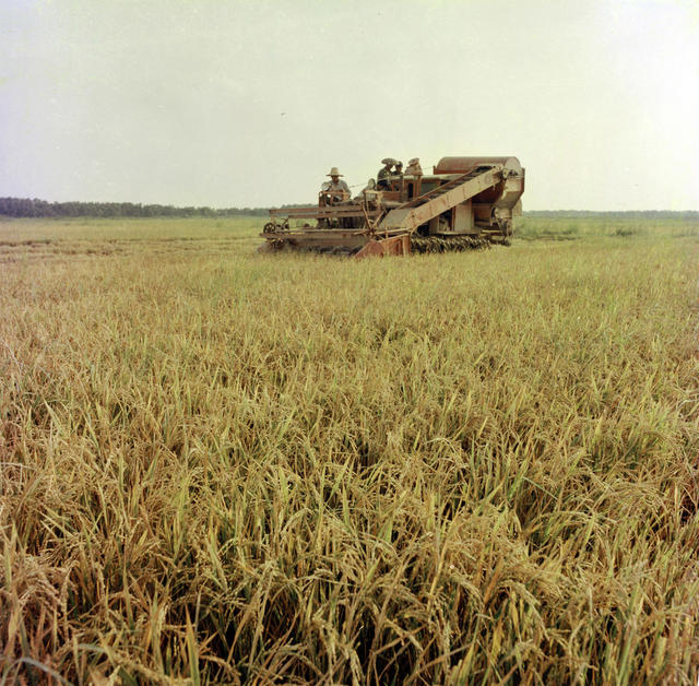  New weather of state-owned farms