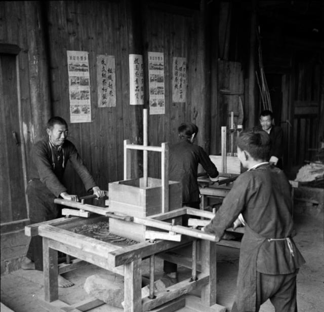 安化茶叶 安化红茶 安化黑茶