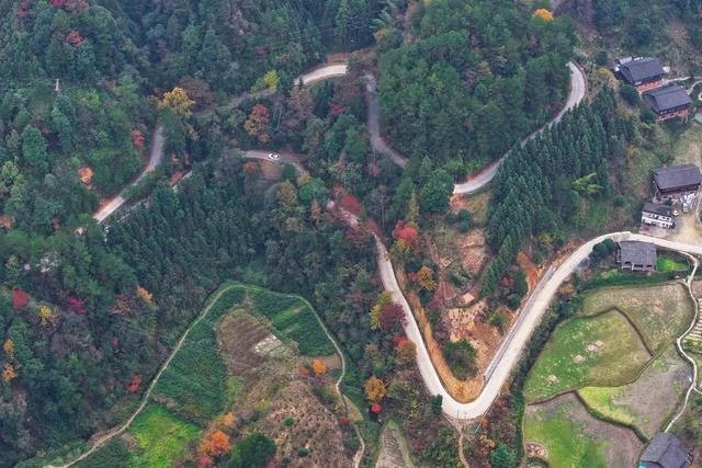 乡村公路、交通、通村路、通组路、冬景