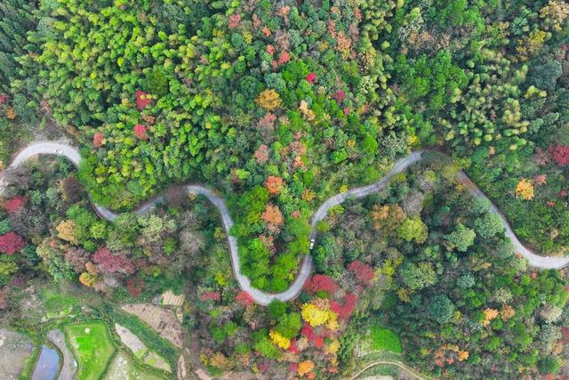 乡村公路、交通、通村路、通组路、冬景