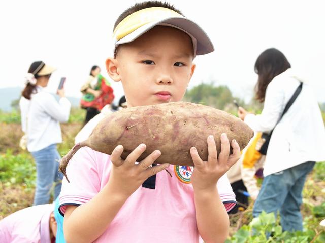 感受  劳动  乐趣