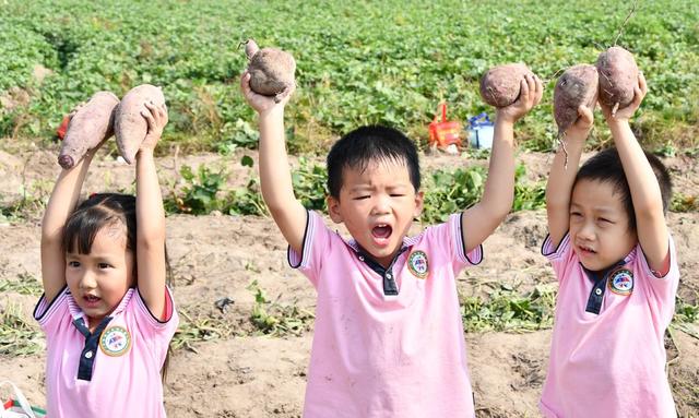 感受  劳动  乐趣