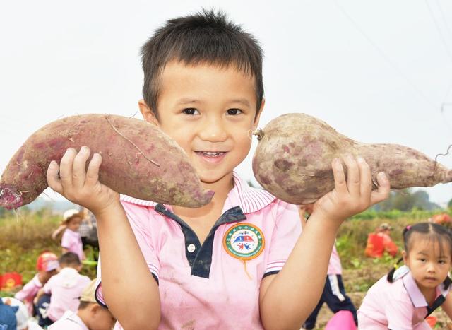 感受  劳动  乐趣