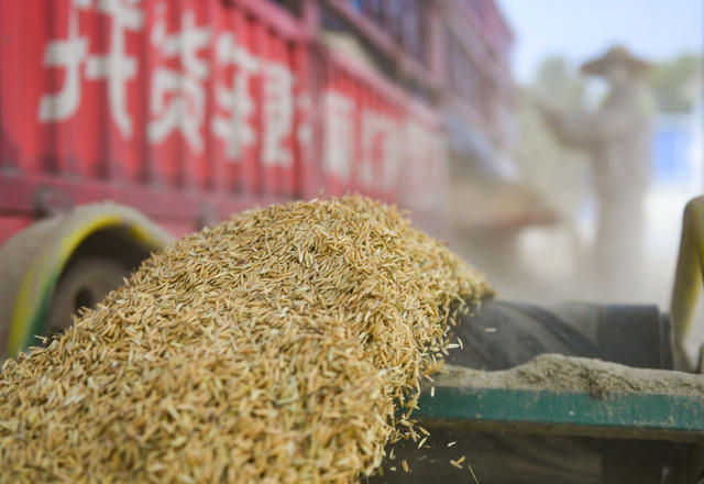 粮库
收购
储存
卖粮
