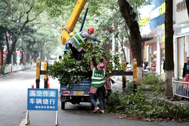 市容、环境整治、人居环境、施工、园林