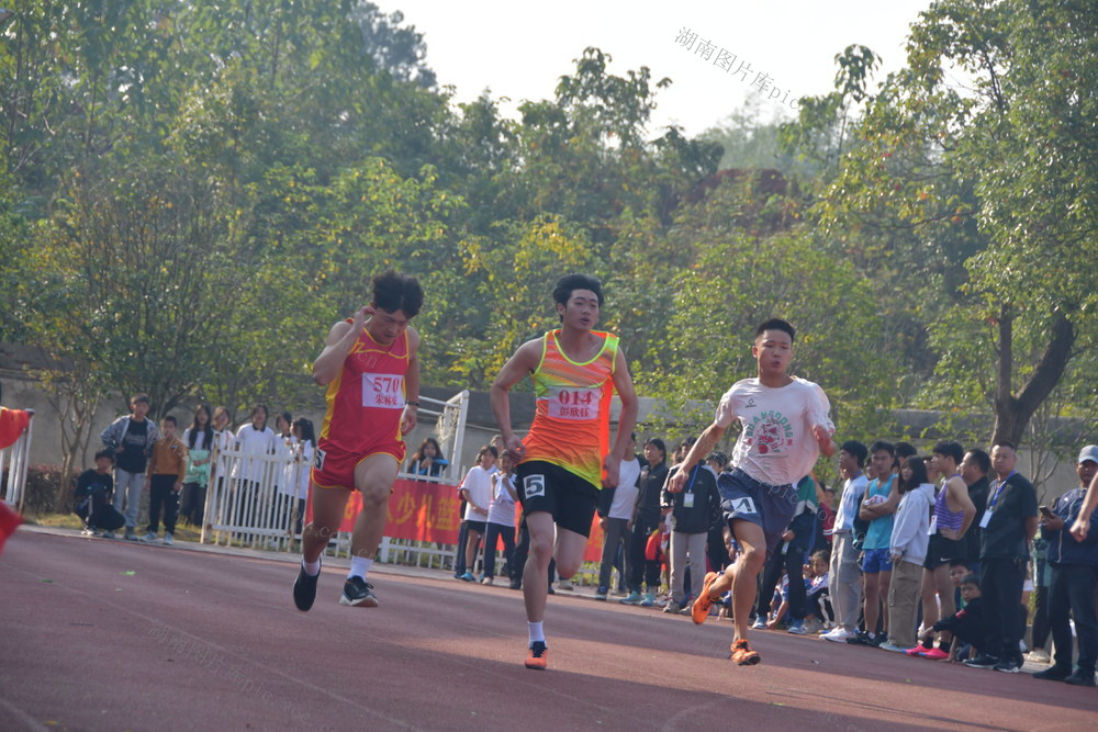 运动会 田径 中小学 双峰县