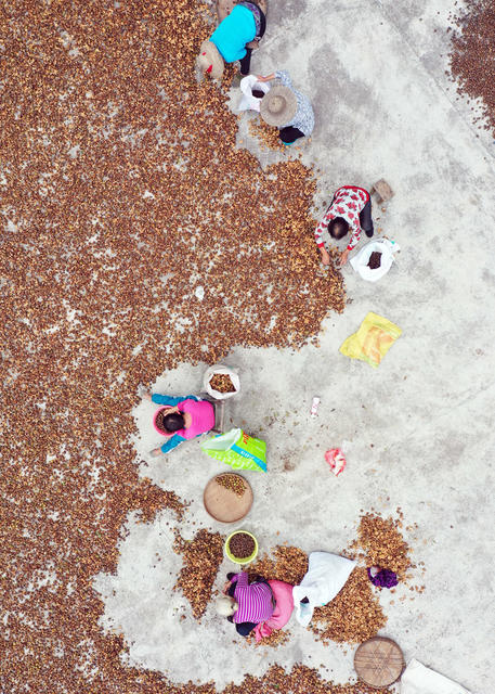 嘉禾：特色产业助增收