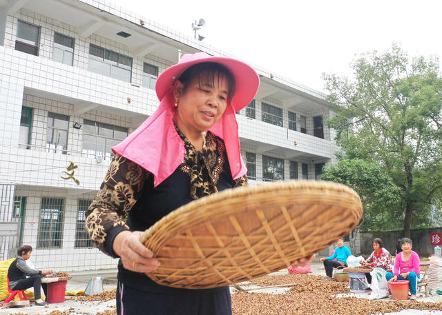 嘉禾：特色产业助增收