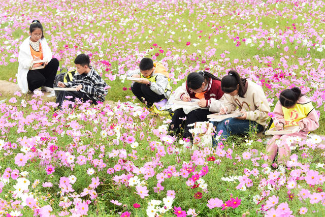 文化旅游  考古遗址公园  秋季美景  格桑花花海  中小学生  绘画写生