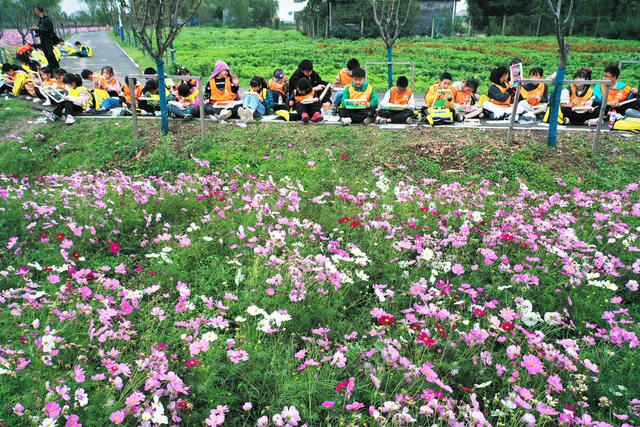 文化旅游  考古遗址公园  秋季美景  格桑花花海  中小学生  绘画写生