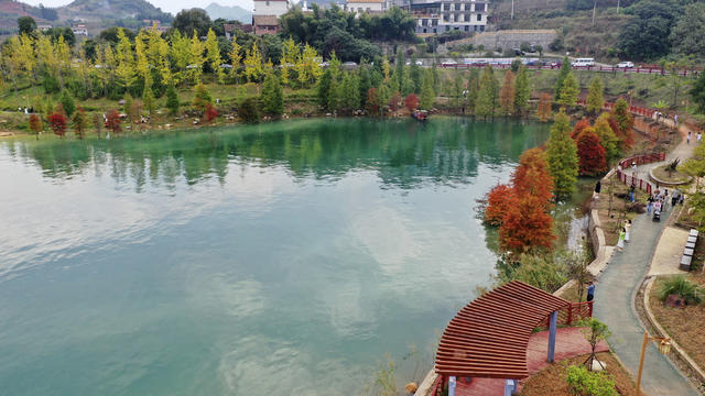 资兴 东江湖 白廊 水杉 山水画卷