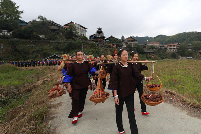 湘桂 侗族 毗邻 两村 红薯节 庆丰收