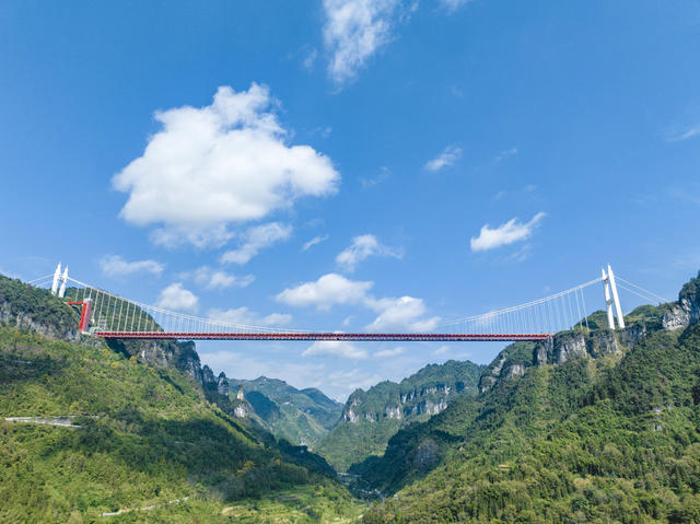 大桥 秋景