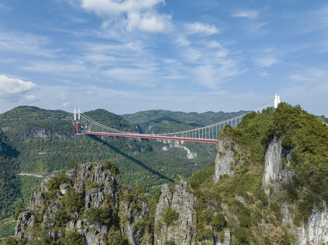 大桥 秋景