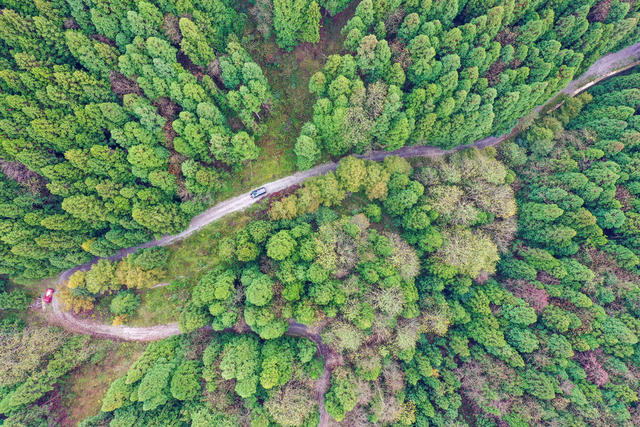 湘西，龙山，生态，公路，如画，行驶