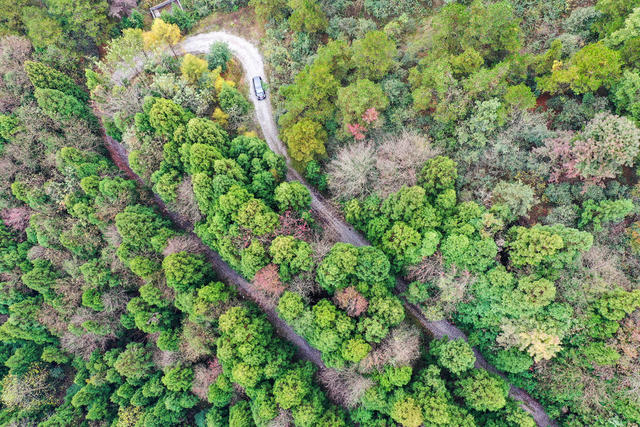 湘西，龙山，生态，公路，如画，行驶