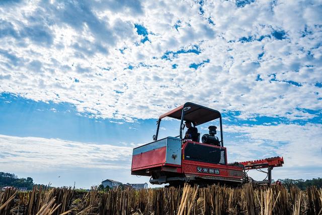 云彩  立冬  节气  农事  农机