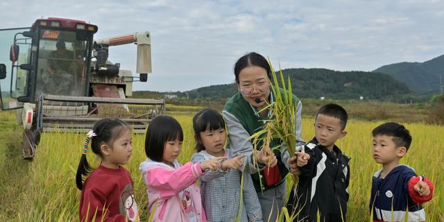 双牌：学农识 知晓粮食来之不易

图片可上架出售