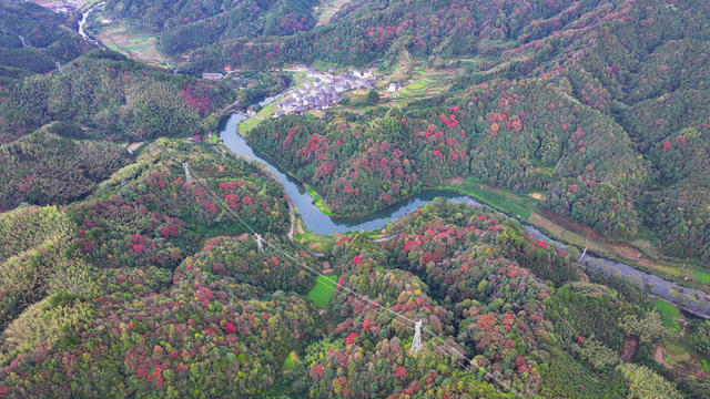 秋天、秋景、山林、秋色、乡村