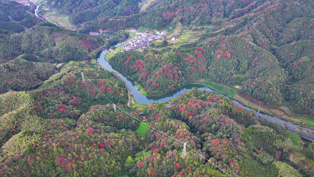 秋天、秋景、山林、秋色、乡村