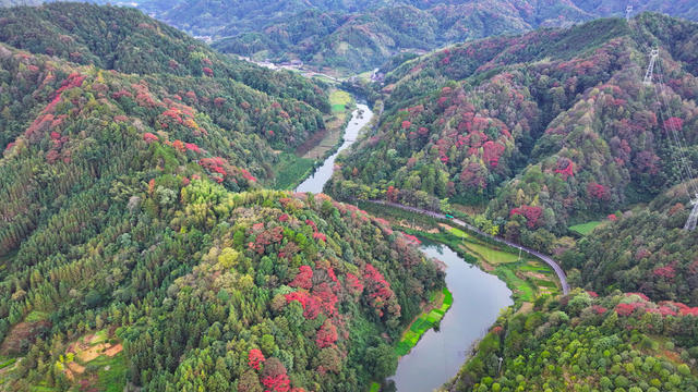 秋天、秋景、山林、秋色、乡村