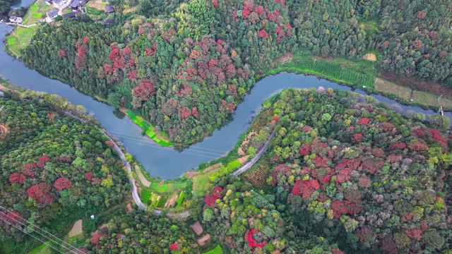 秋天、秋景、山林、秋色、乡村