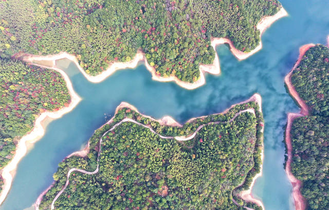 红旗  水库 生态 秋色  风景 自然
风光  旅游  画卷