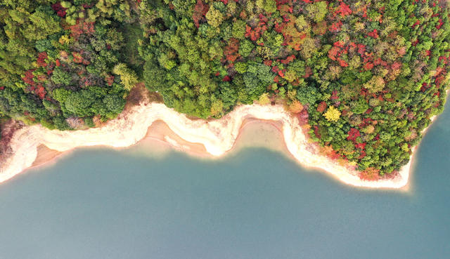 红旗  水库 生态 秋色  风景 自然
风光  旅游  画卷