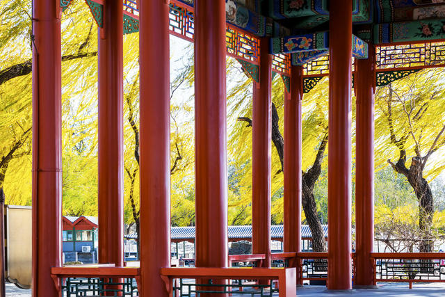 公园 秋色 湖 桥 红叶 蓝天 芦花