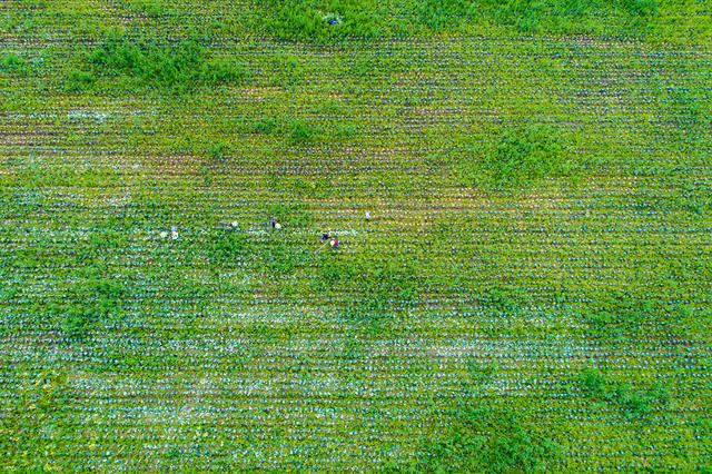 长江经济带 岳阳市