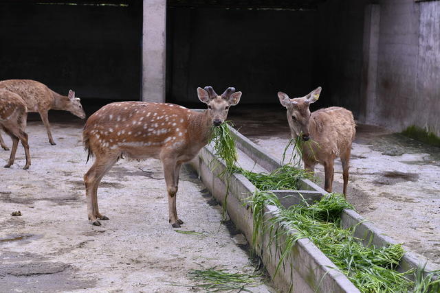 扶贫 脱贫 乡村