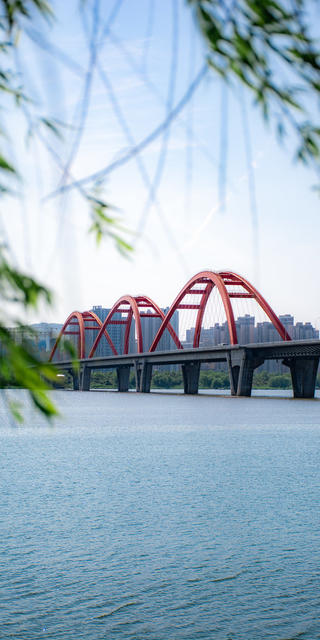 长沙 福元路大桥 日落 旅游