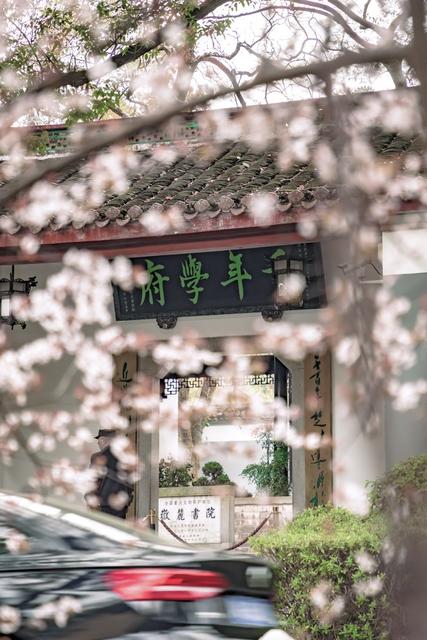 长沙 湖南大学 岳麓书院 红楼 大礼堂 旅游 自然