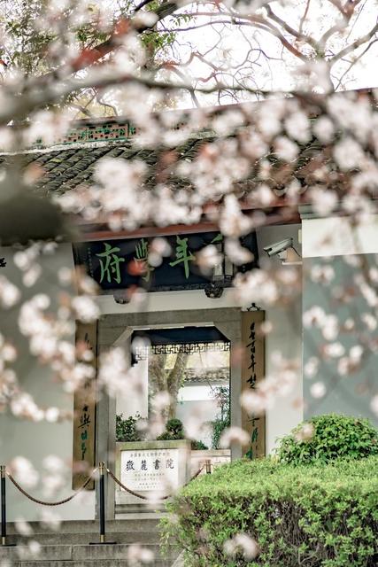 长沙 湖南大学 岳麓书院 红楼 大礼堂 旅游 自然