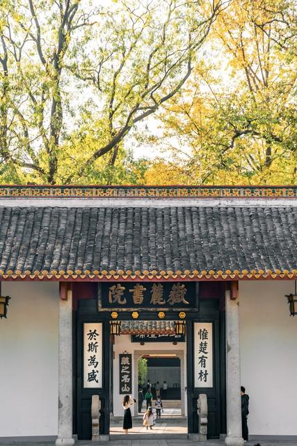 长沙 秋天 湖南大学 岳麓书院 麓山南路 银杏