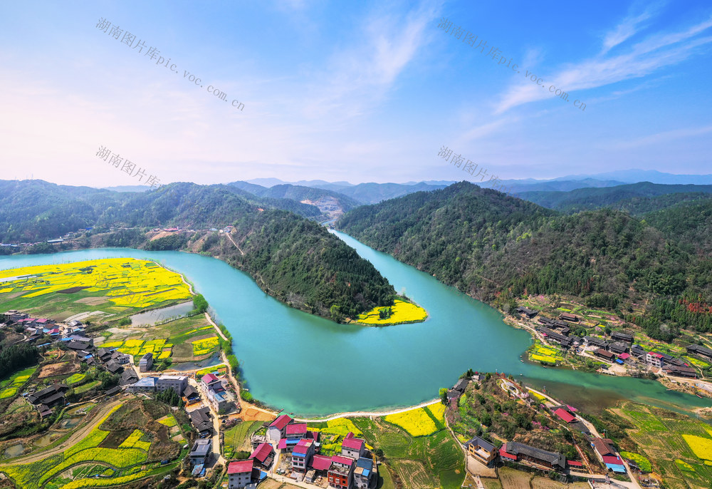 乡村 田园 山水风光 油菜花 湖 雾