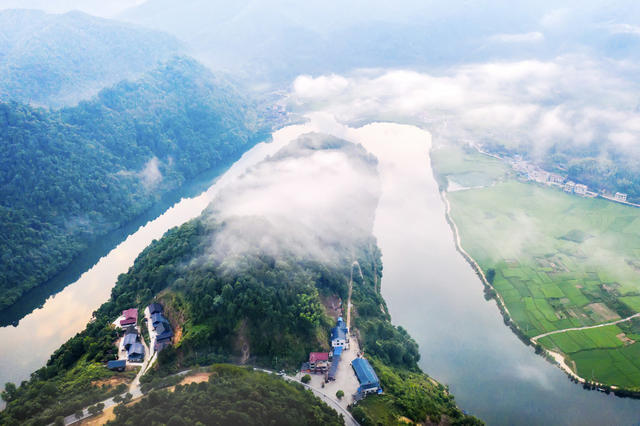 乡村 田园 山水风光 油菜花 湖 雾